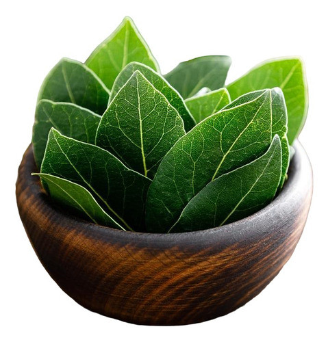 Hojas Laurel Fresco 100% Orgánico 0