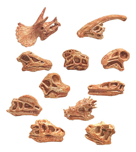 Modelo De Crânio De Dinossauro Vívido Marrom Claro 0
