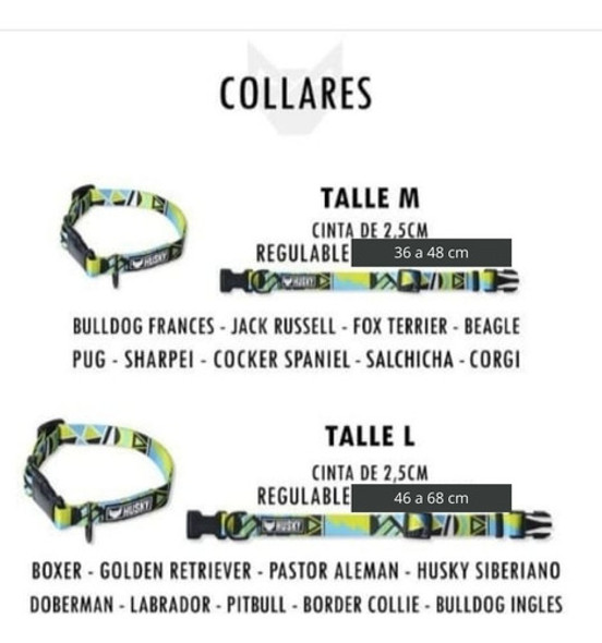 Accesorio Para Mascotas 1