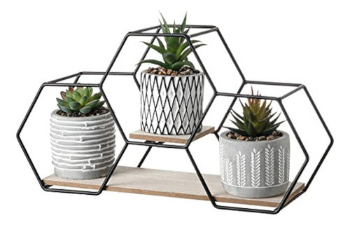 Colecciones De Teresa Plantas Artificiales Modernas En Macet 0