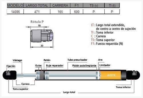 Amortiguador De Puerta Trasera Byd F3 1