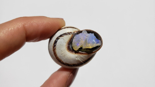 Opala Branca Preciosa Bruta Natural 0,5 Gramas - Universo 22 1