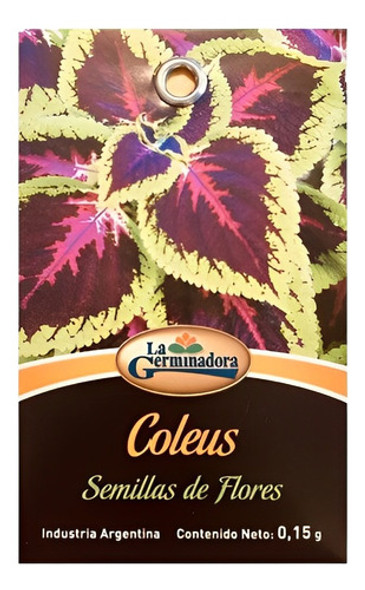 Semillas De Coleus Sobre Por 0,15gr Valhalla Grow Shop 1 Semillas De Coleus Sobre Por 0,15gr Valhalla Grow Shop 1