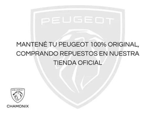 Bisagra De Puerta Delantera Izquierda Peugeot 307 1
