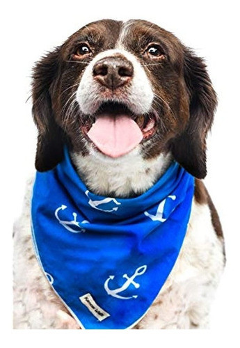 Kendall Wags Dog Bandanas - Bufanda De Verano Para Mascotas 1