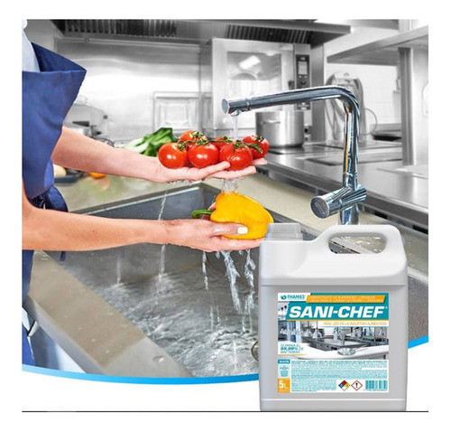 Sanichef Desinfectante Superficies/alimentos 5 Lts X4 Thames 1