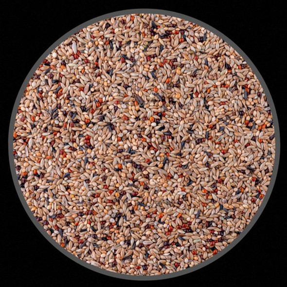 Mistura Para Pássaros Exóticos - Diamante E Mandarim - 5kg 1