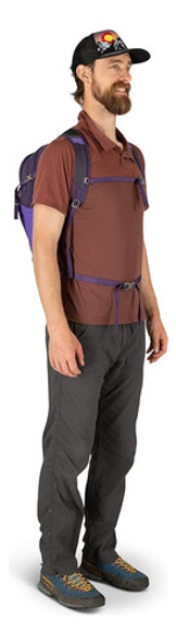 Osprey Daylite Plus, Dream Purple 1