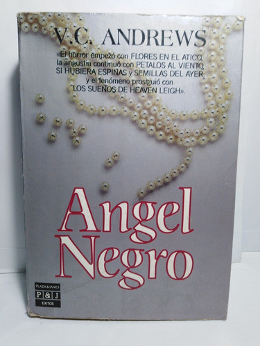 Angel Negro - V. C. Andrews 0