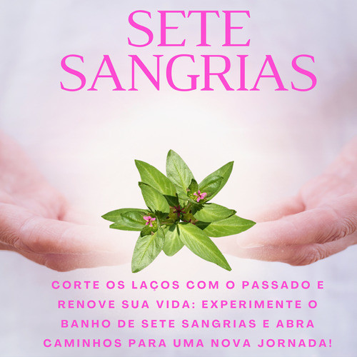 3pacotes Erva Para Banho Sete Sangrias | Defumação | Ritual 1