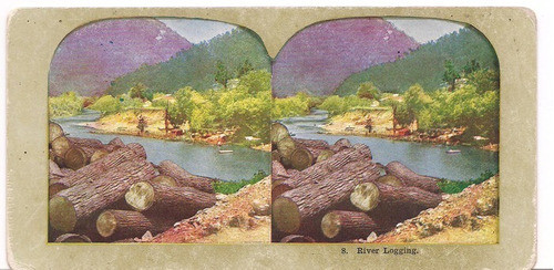 Foto Estereoscopica Stereo Antigua Rio Logging B4 0