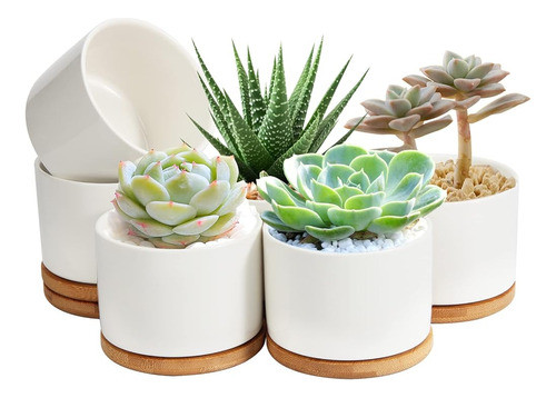 Zoutog Maceta De 4 Pulgadas, Macetas Suculentas De Cerámica 0