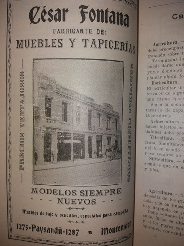 Almanaque Del Labrador Para El Año 1920 Cantidad Publicidad 1