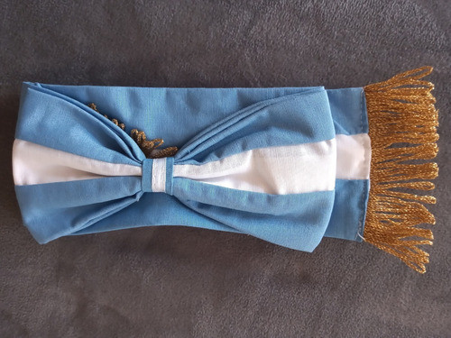 Bandera Jardin Argentina Ceremonia C/1 Sol, C/moño Y Tahalí 1