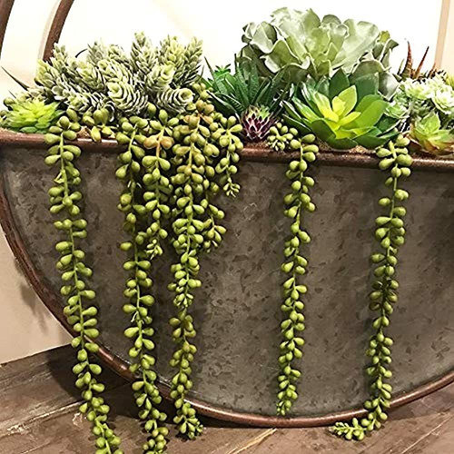 3 Uds Cadena De Perlas Artificiales Falsas Plantas Suculenta 1