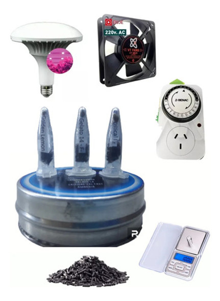 Kit De Cultivo Con Semas Auto/fem Incluidas 0