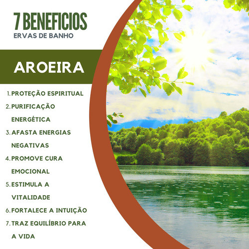 Aroeira Espada São Jorge Erva Mística Banho/defumação 1