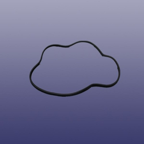 Burlete De Puerta Trasera Izquierda 0