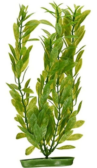 Marina Aquascaper Hygrophila Large Plant 12 Pulgadas 0