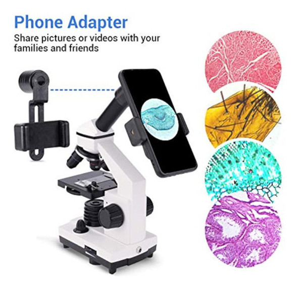 Microscopio, Microscopio Monocular Compuesto 1