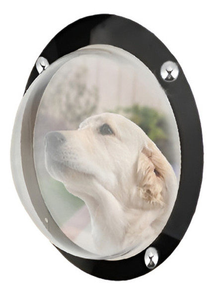 Perro Mascota Cerca Gatos Perros Peek Burbuja Domo Transpare 0