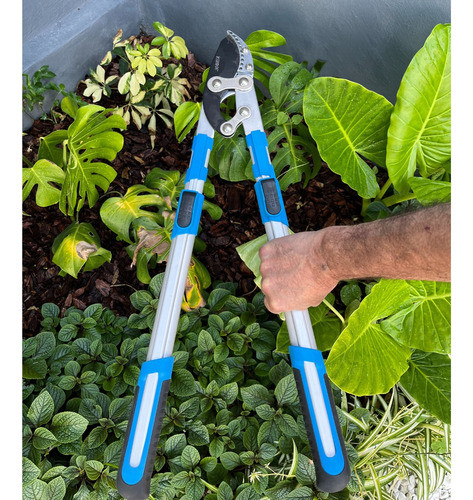 Kit Jardin Tijera De Poda 8.5  + Podon Yunke Extensible 80cm 1