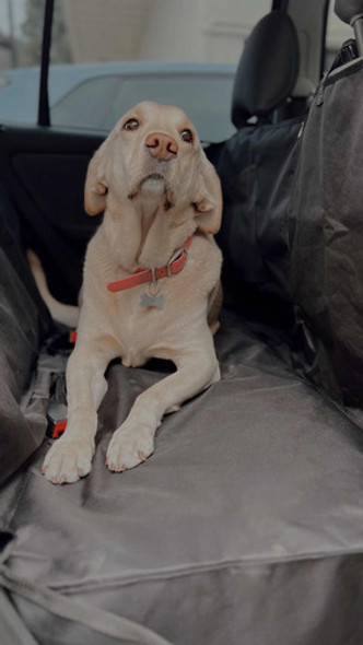 Funda De Auto Para Perros Viaje Impermeable Antidesgarro 1 Funda De Auto Para Perros Viaje Impermeable Antidesgarro 1
