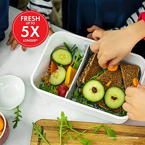 Sellador Al Vacío Zwilling Fresh & Save, Fiambrera Grande, R 1
