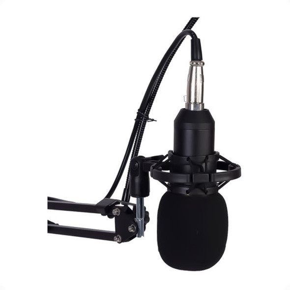 Micrófono Con Brazo Estudio Condensador Podcast Bm-800 Tcs 0