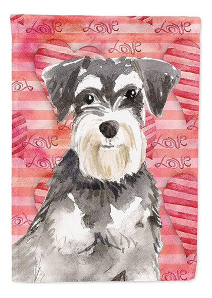 Caroline's Treasures Ck1759gf Love A Schnauzer #2 Garden Fla 0