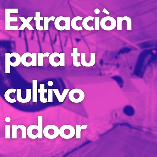 Combo Antiolor Indoor Extractor Lineal 4 Filtro Carbon 20cm 1