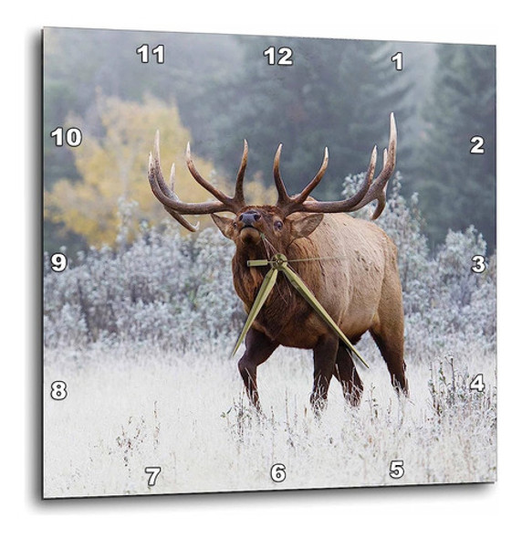 3d Rose Rocky Mountain Bull Elk Wall Clock, 15  X 15 0