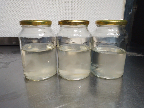 Kits De Cultivo De Hongos Comerciales Para Biologos 1