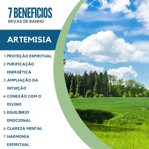 Erva De Banho Alfazema Artemísia | Limpeza | Defumação 1