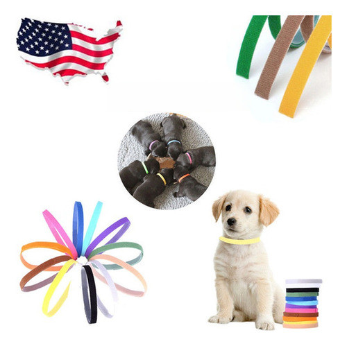 12pcs/conjunto De Whelping Id Identificación Bandas Camada C 0