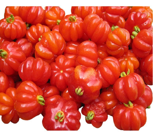 Promoção De 10 Sementes De Pitanga Gigante Exótica 0