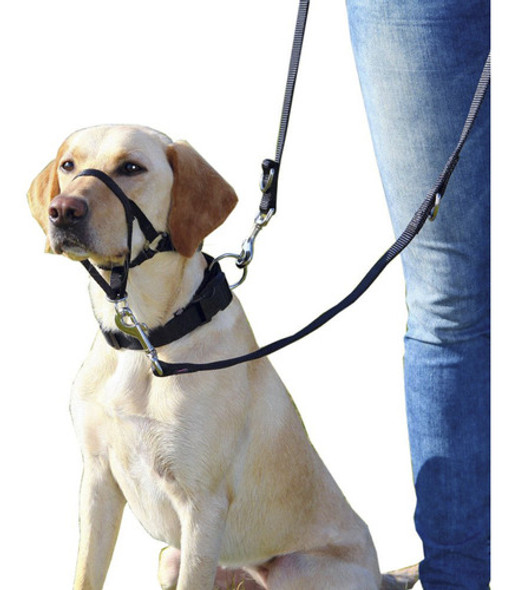 Bozal Halti Entrenamiento Anti Tirones Perros Top Trainer L 0
