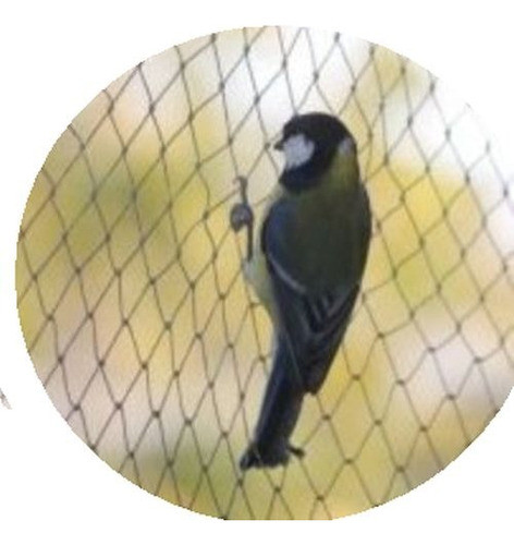 Malla Antipajaro 10metros X 1.23 0