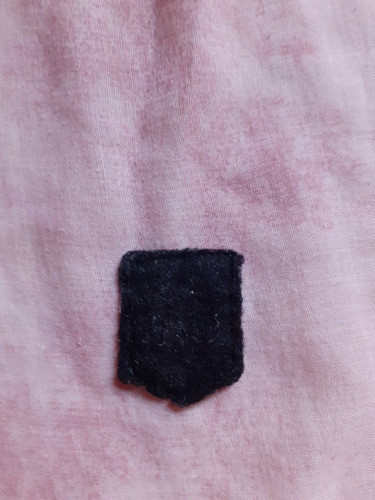 Escudito Antiguo León Rampante Tela 3 X 4cm 1