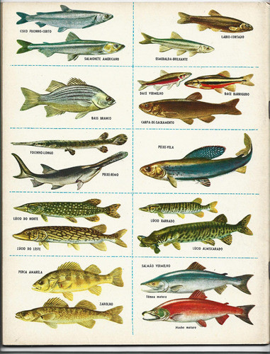 Album Figurinha - Peixes - Completo Ebal Ano 60 1
