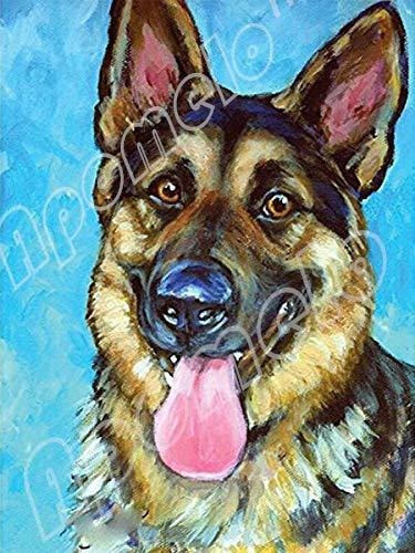 Pintura Por Diamantes 30x40cm Kit Completo [7rs3zs8l] 0