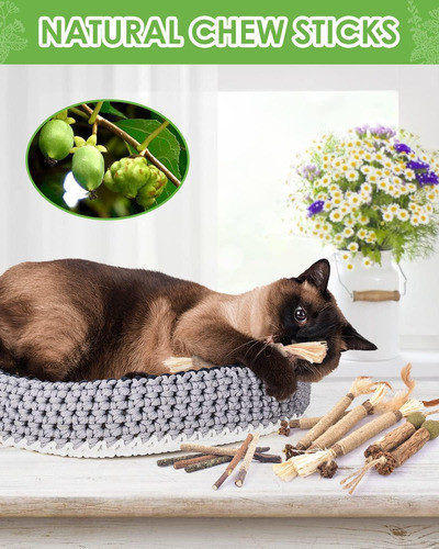 Juguete De Catnip Natural Para Gatos, 12 Palitos De Silvervi 1