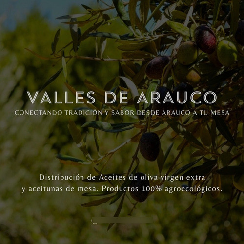 Aceitunas Arauco Verdes N°00 | Extra Carnozas | 5kg 1