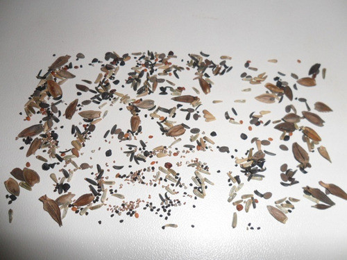 500 Sementes Flores Sortidas Para Abelha Borboleta Pássaros 1