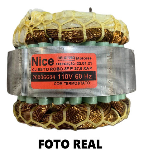 Estator Rotativo D Rob Trifásico 110v 60hz Peccinin - Nice 1