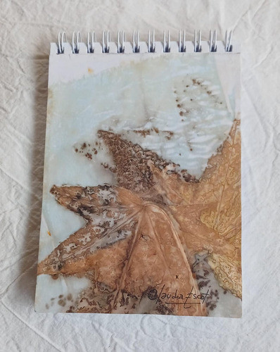 Anotador 11x15 80 Hojas Lisas Ecoprint Dambar 0