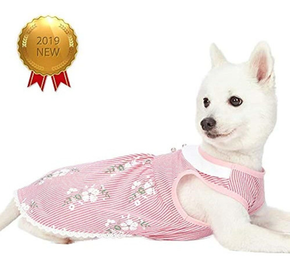 Blueberry Pet 10 Patrones Bien Hechos Coleccion Floral - Co 1