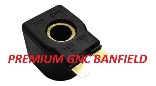 Bobina De Gnc Para Regulador Tesmon Tercera Generación Tt02 0
