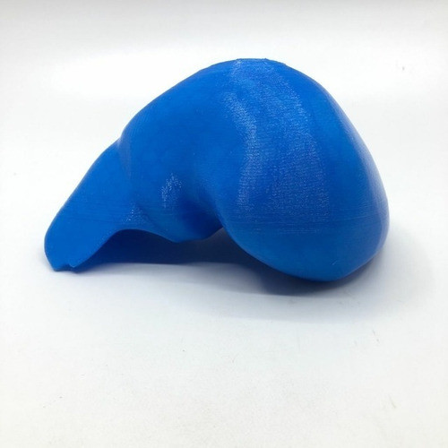 Higado - Impresión 3d- Anatomía- Stock Disponible 0