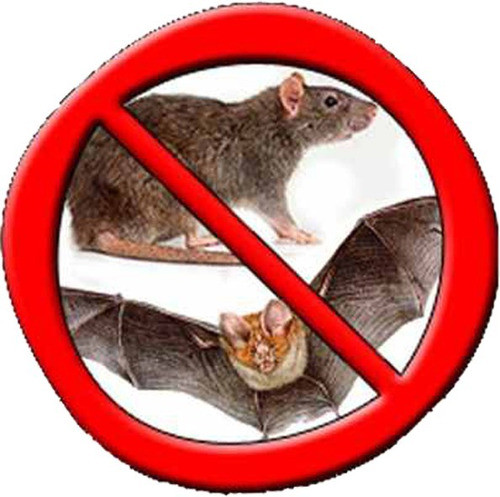 Repelente Ratos Morcegos Gambas 100mts Cabo 8 Sensores 1